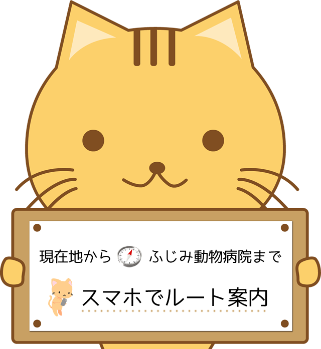 ルート案内はこちら